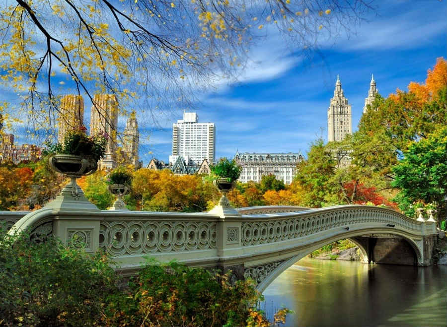 Whitby-Hotel-New-York-Central-Park