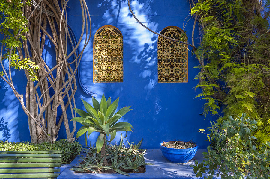 Jardin Majorelle - Marrakech - dettaglio di una parete esterna di colore blu cobalto
