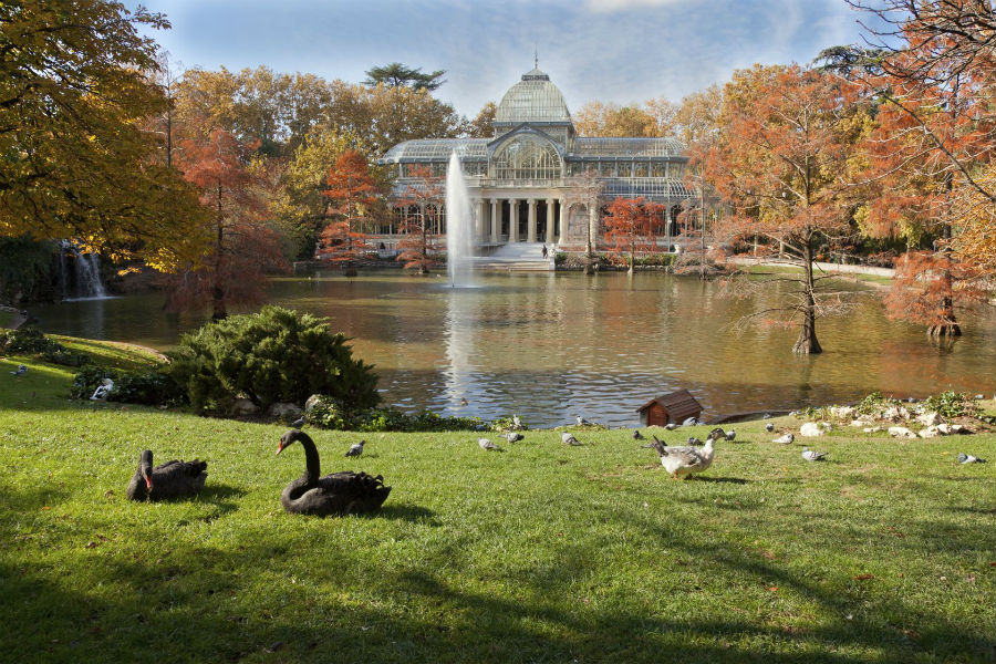 the-westin-palace-hotel-madrid_parco-del-retiro_4 The Westin Palace Hotel, Madrid: Parco del Retiro