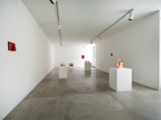 Le Small Gems di Agostino Bonalumi in mostra alla Cardi Gallery di Milano