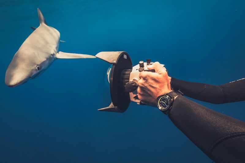 Ulysse Nardin Diver Lemon Shark: un subacqueo al servizio degli oceani