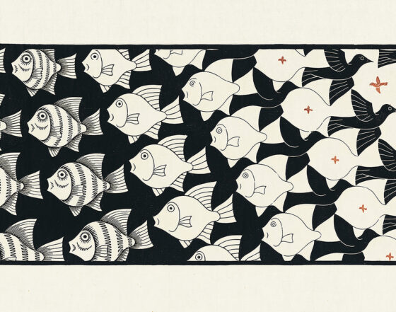 escher relatività Cover-er